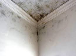 Best Residential Mold Inspection & Testing  in Dorneyville, PA