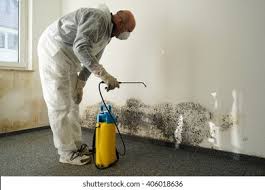 Why You Should Choose Our Mold Remediation Services in Dorneyville, PA